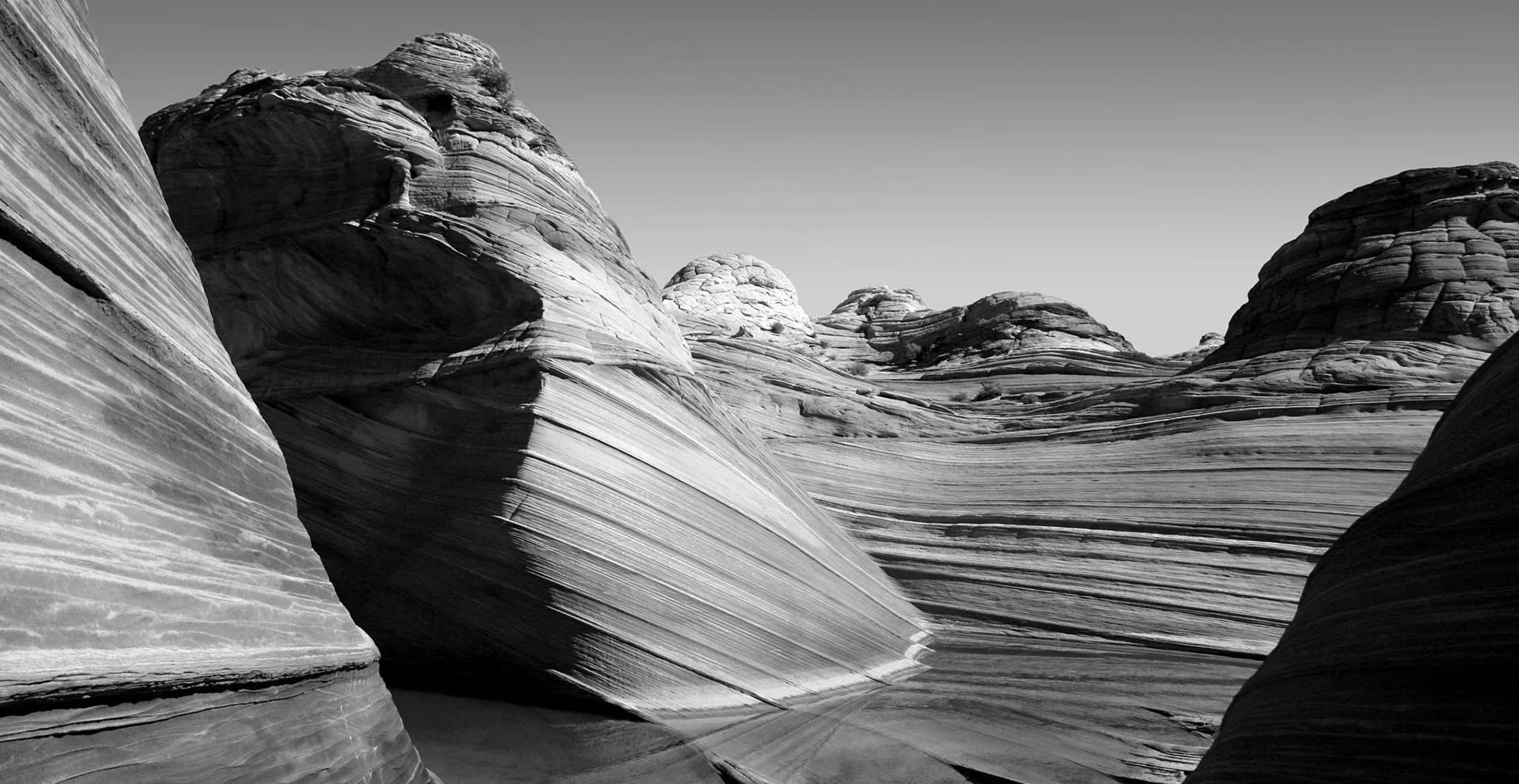 Sculpted by Nature, Crafted for Life